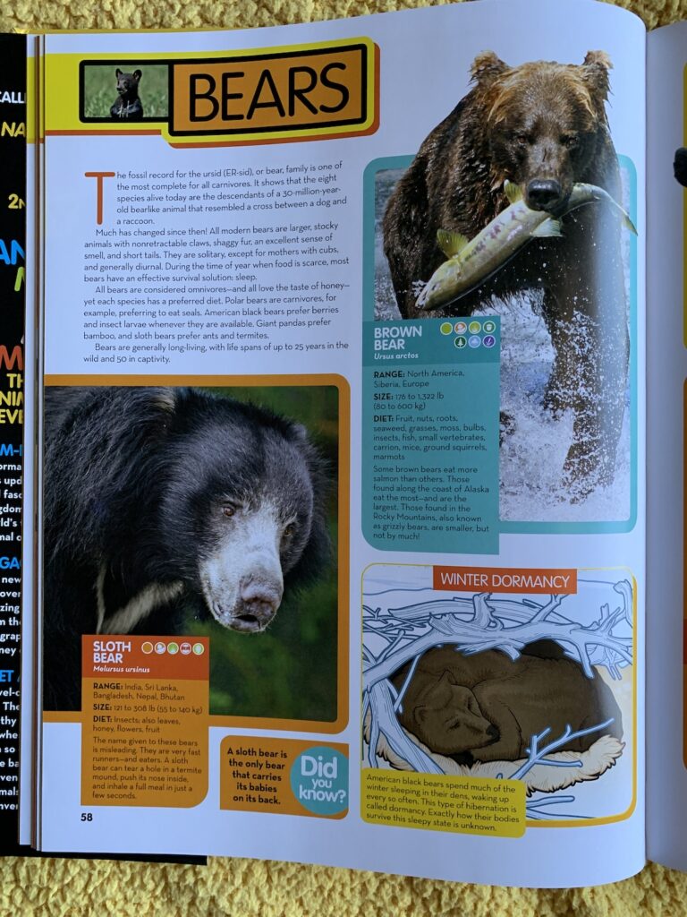 Book Review “Animal Encyclopedia” (2nd Edition) by National Geographic